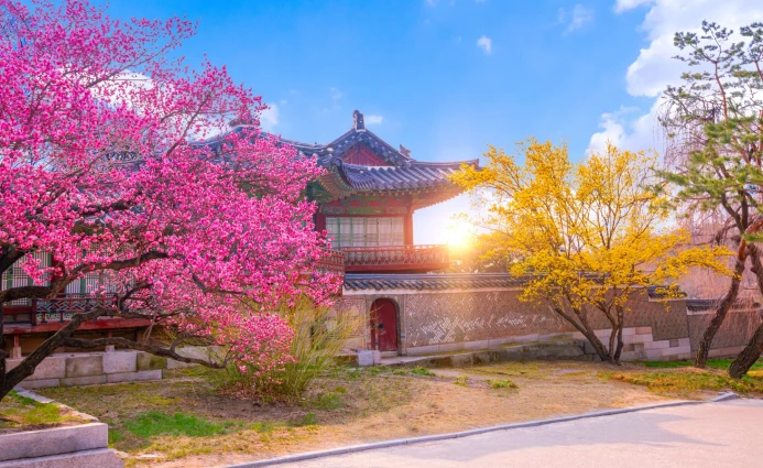 Korea 4DAYS SIMPLY SEOUL TOUR 1 ~blog/2023/11/20/4days_simply_seoul_tour__1