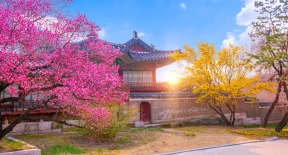 4DAYS SIMPLY SEOUL TOUR