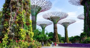 3DAYS SIMPLY SINGAPORE TOUR