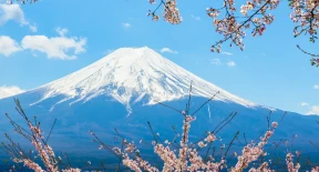 5DAYS AMAZING TOKYO  MOUNT FUJI