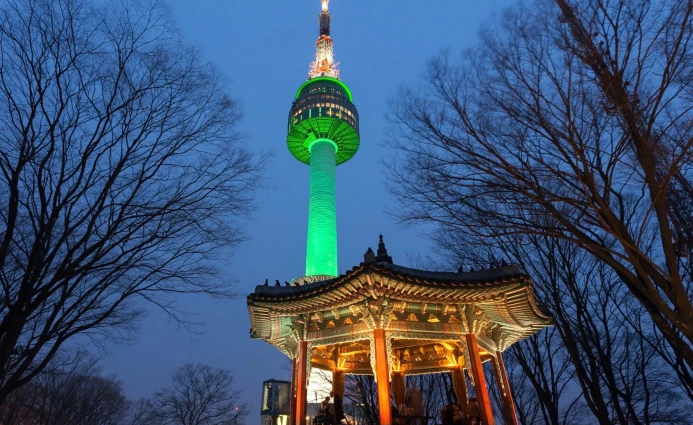 Korea 4DAYS AMAZING SEOUL & NAMI ISLAND 1 ~blog/2025/3/5/korea__14