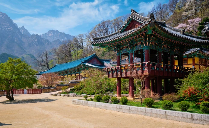 Korea 4 DAYS KOREAN DRAMA SEOUL & GYEONGGI 2 ~blog/2025/3/5/korea__5